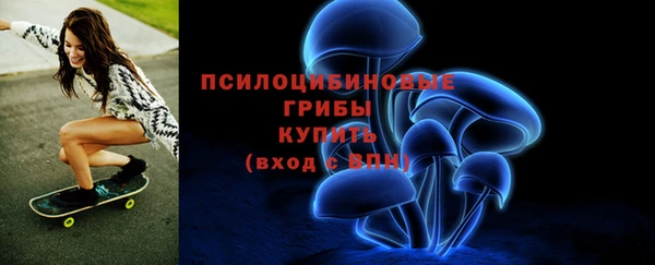 мдпв Зерноград