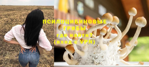 мдпв Зерноград