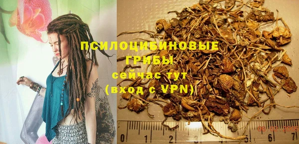 мдпв Зерноград