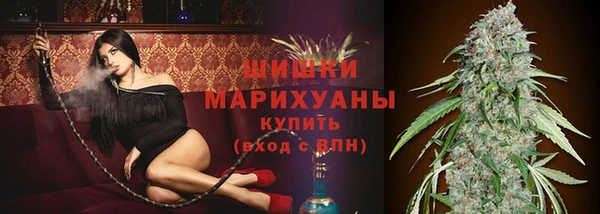 СК Зеленодольск