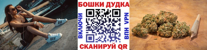 Бошки Шишки ГИДРОПОН  Купить  Армянск 